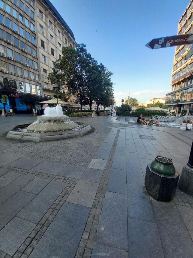 Skardarlija Pijaca Studio Leilighet Beograd Eksteriør bilde